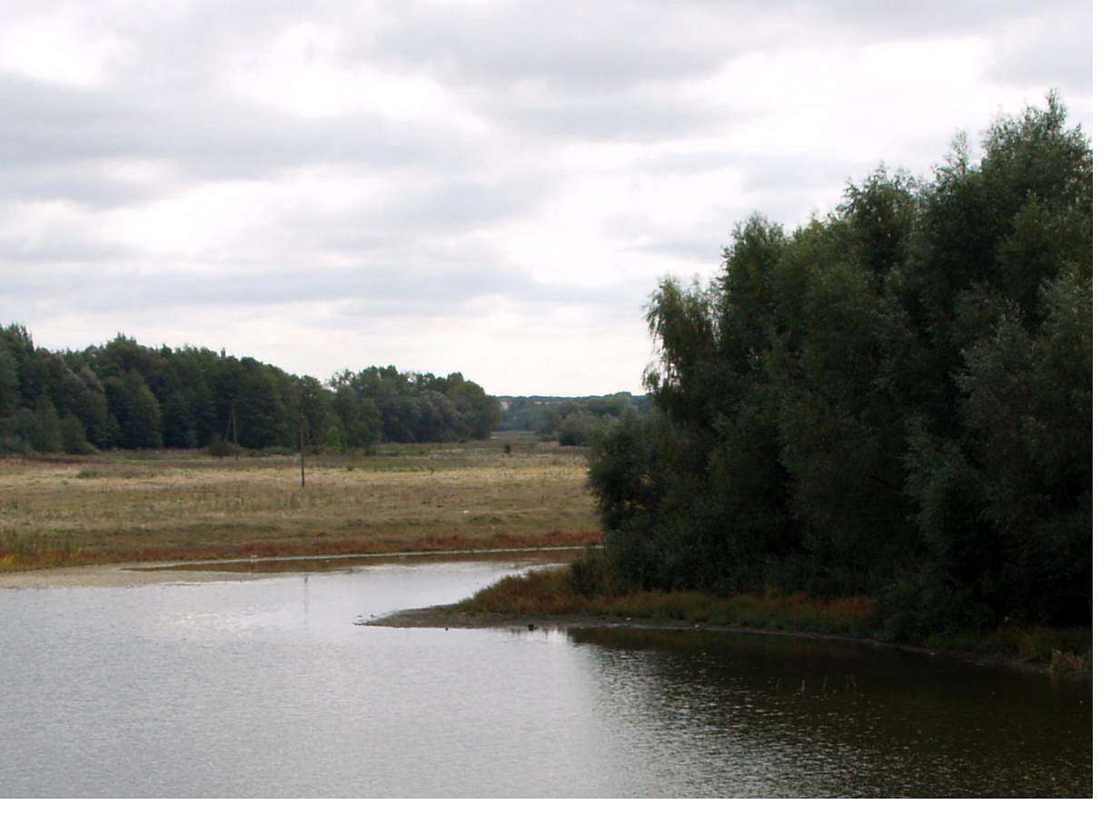 РОСТАВИЦЯ - Strokiv