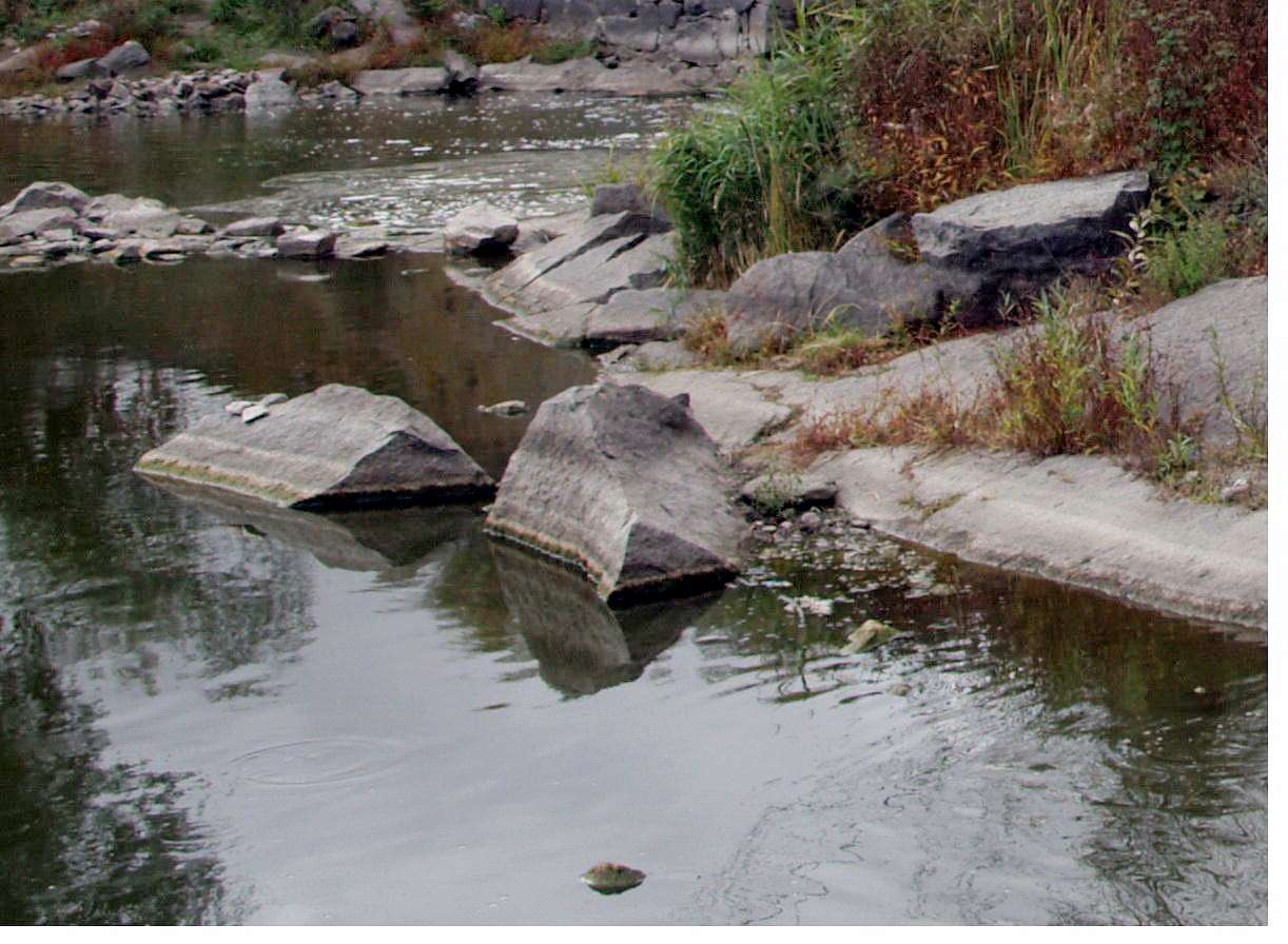 РОСТАВИЦЯ - Строків