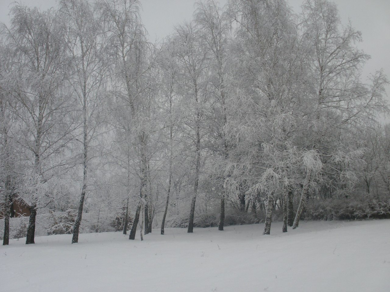 с.Кальник - Кальник