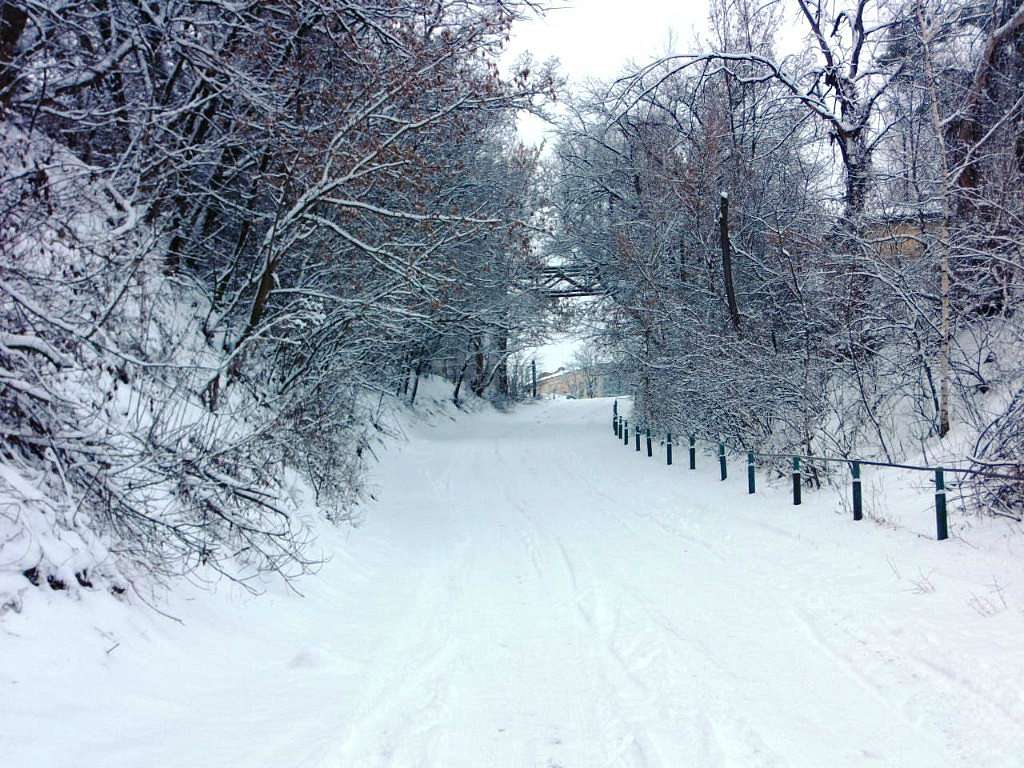 ладан - Ладан