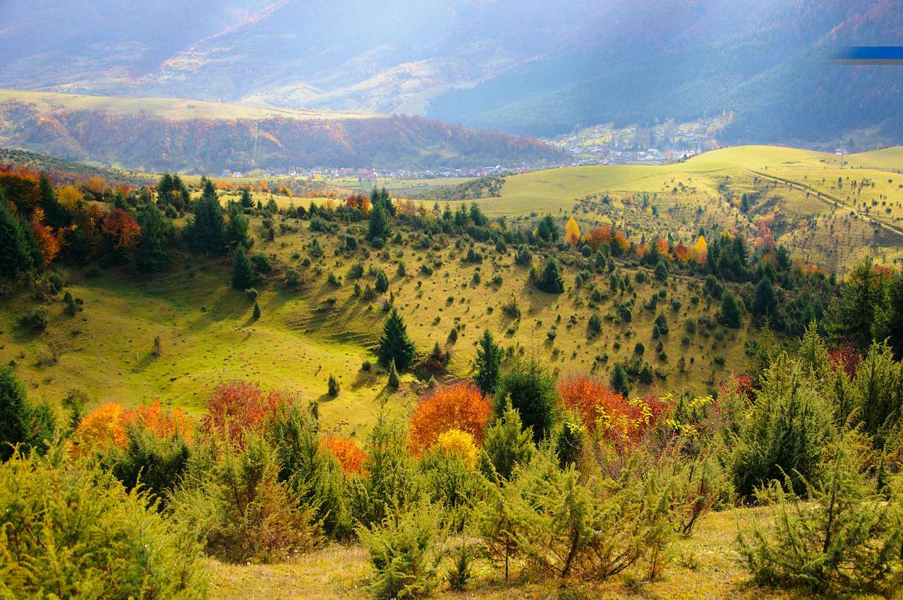 Золота осінь в Колочаві від Сергія П'янникова - Колочава