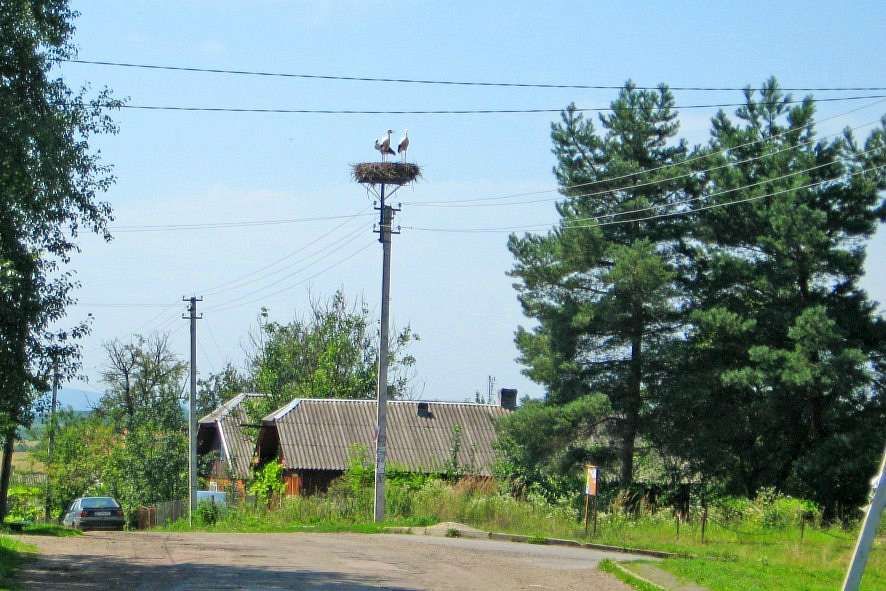 моє село - Нижні Гаї