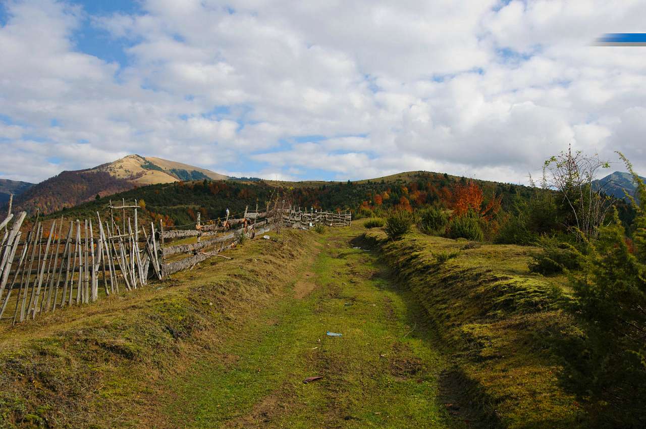 Золота осінь в Колочаві від Сергія П'янникова - Колочава