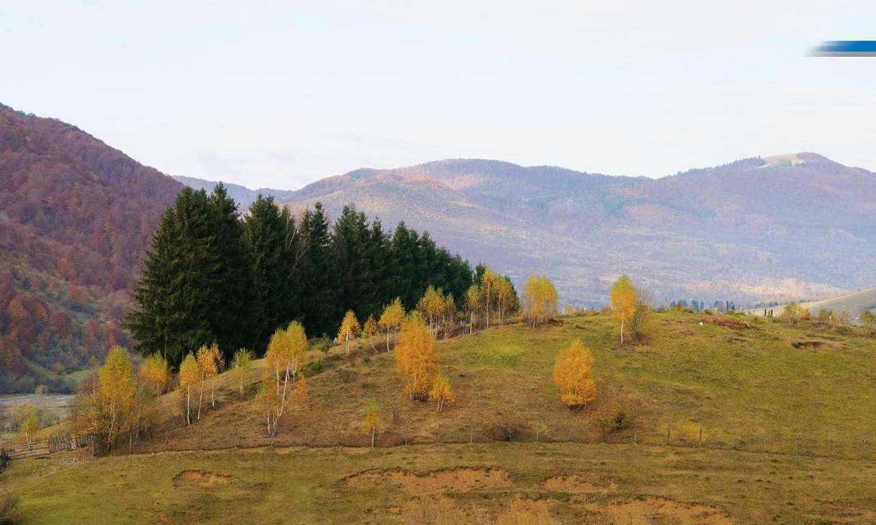 Золота осінь в Колочаві від Сергія П'янникова - Колочава