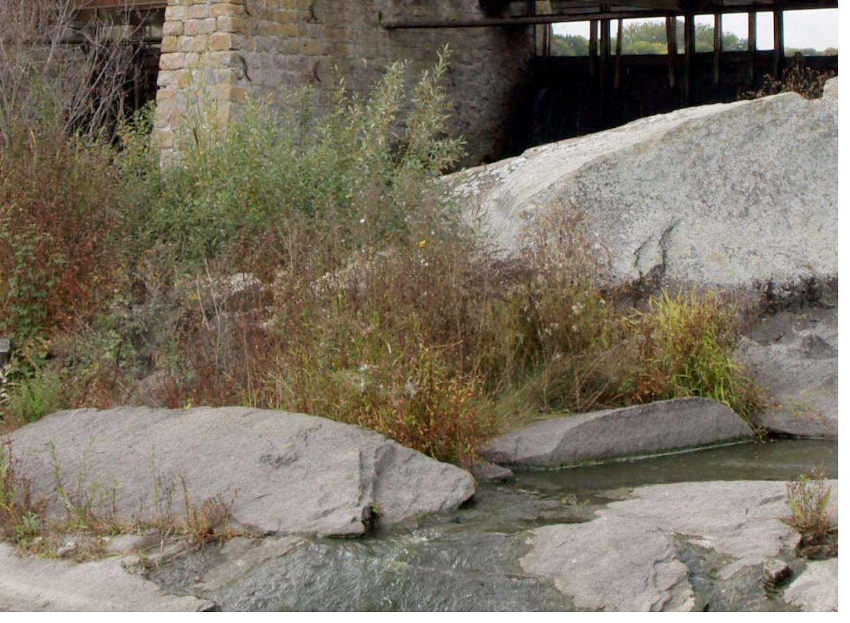 РОСТАВИЦЯ - Строків