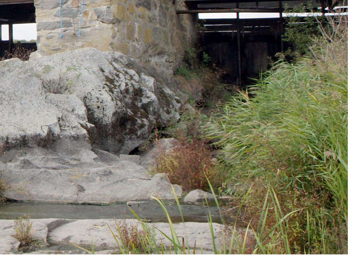 РОСТАВИЦЯ - Strokiv