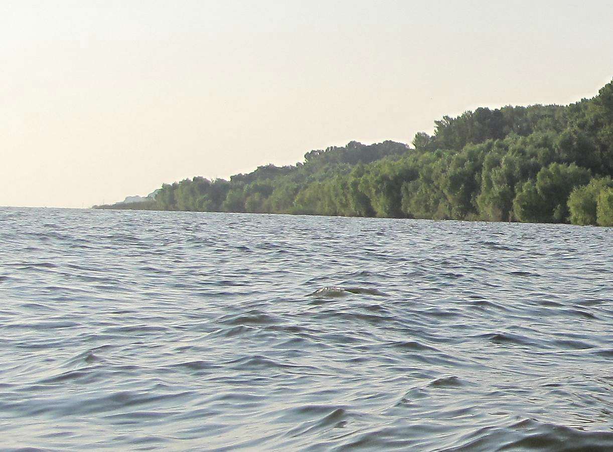 Сагунівка-мала батьківщина мого прадіда - Sagunivka