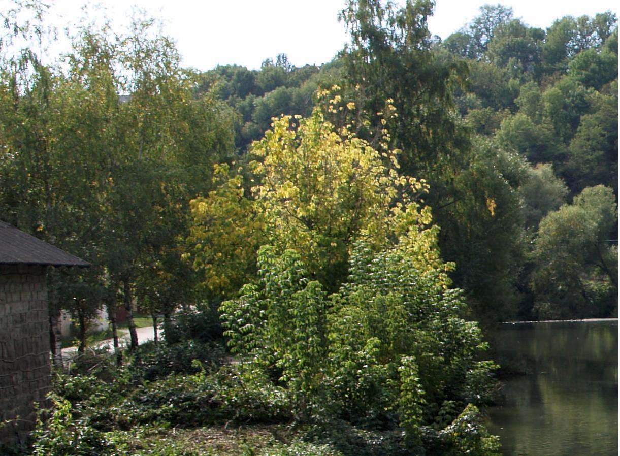 ТЕРНОПІЛЬСЬКИЙ 'ПАРИЖ' - Бучач