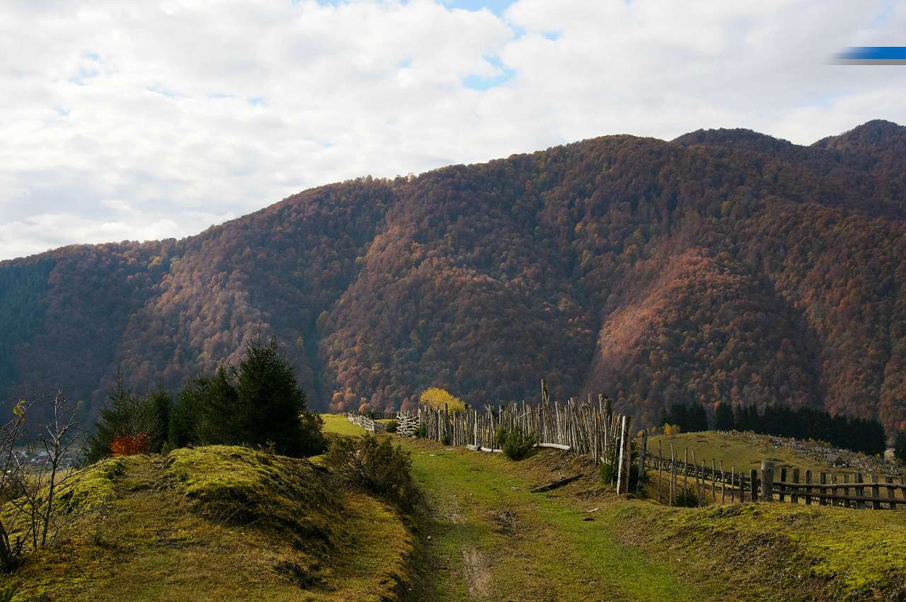 Золота осінь в Колочаві від Сергія П'янникова - Колочава