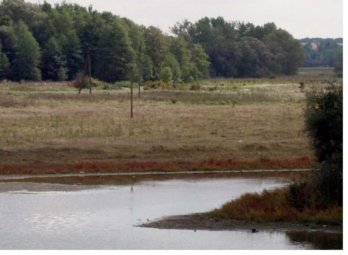 РОСТАВИЦЯ - Строків