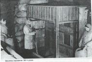 Лебединський насіннєвий завод