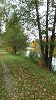 Дендрологічний парк 'Тростянець' НАН України