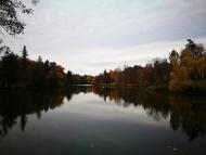 Дендрологічний парк 'Тростянець' НАН України