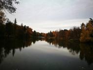 Дендрологічний парк 'Тростянець' НАН України