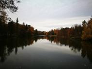 Дендрологічний парк 'Тростянець' НАН України