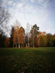 Дендрологічний парк 'Тростянець' НАН України