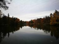 Дендрологічний парк 'Тростянець' НАН України