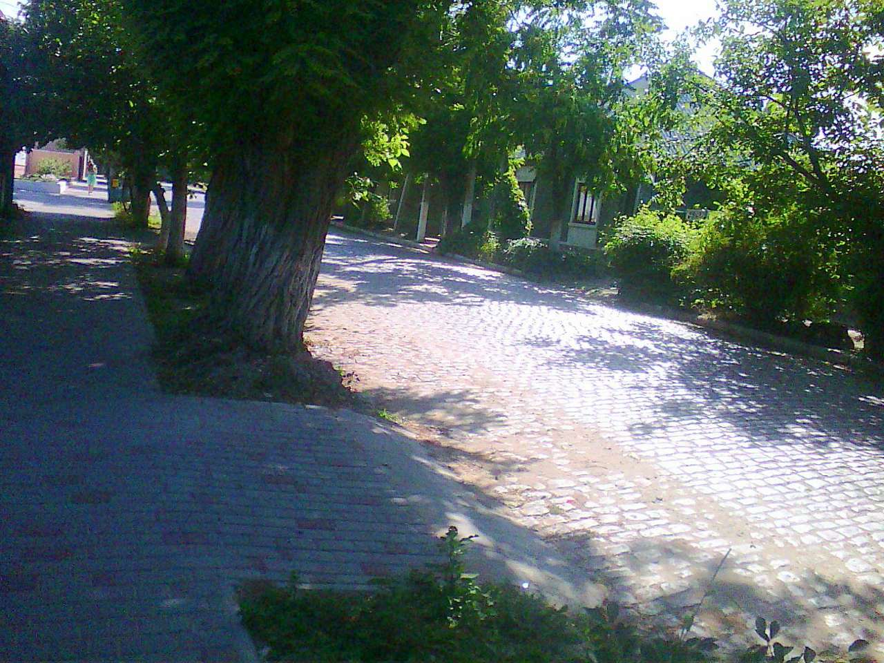 Місто на лимані - Белгород-Днестровский