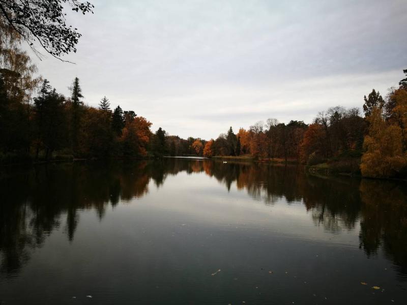 Дендрологічний парк 'Тростянець' НАН України - Тростянец