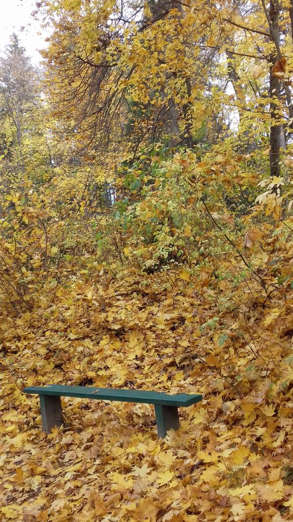 Дендрологічний парк 'Тростянець' НАН України - Тростянец