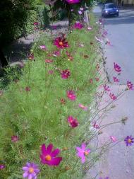 Вулицями міста