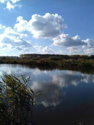 Останній подарунок осені