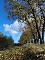 Останній подарунок осені