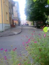 Вулицями міста