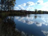 Останній подарунок осені