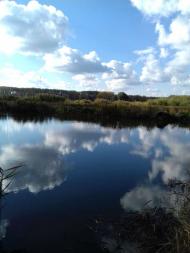 Останній подарунок осені