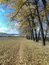 Останній подарунок осені