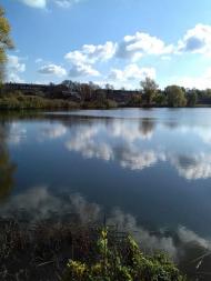 Останній подарунок осені