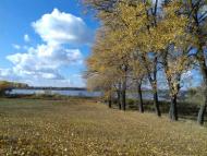 Останній подарунок осені