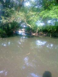 річка Вівнянка