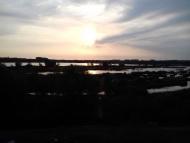 Останній подарунок осені