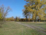 Останній подарунок осені