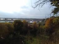 Останній подарунок осені