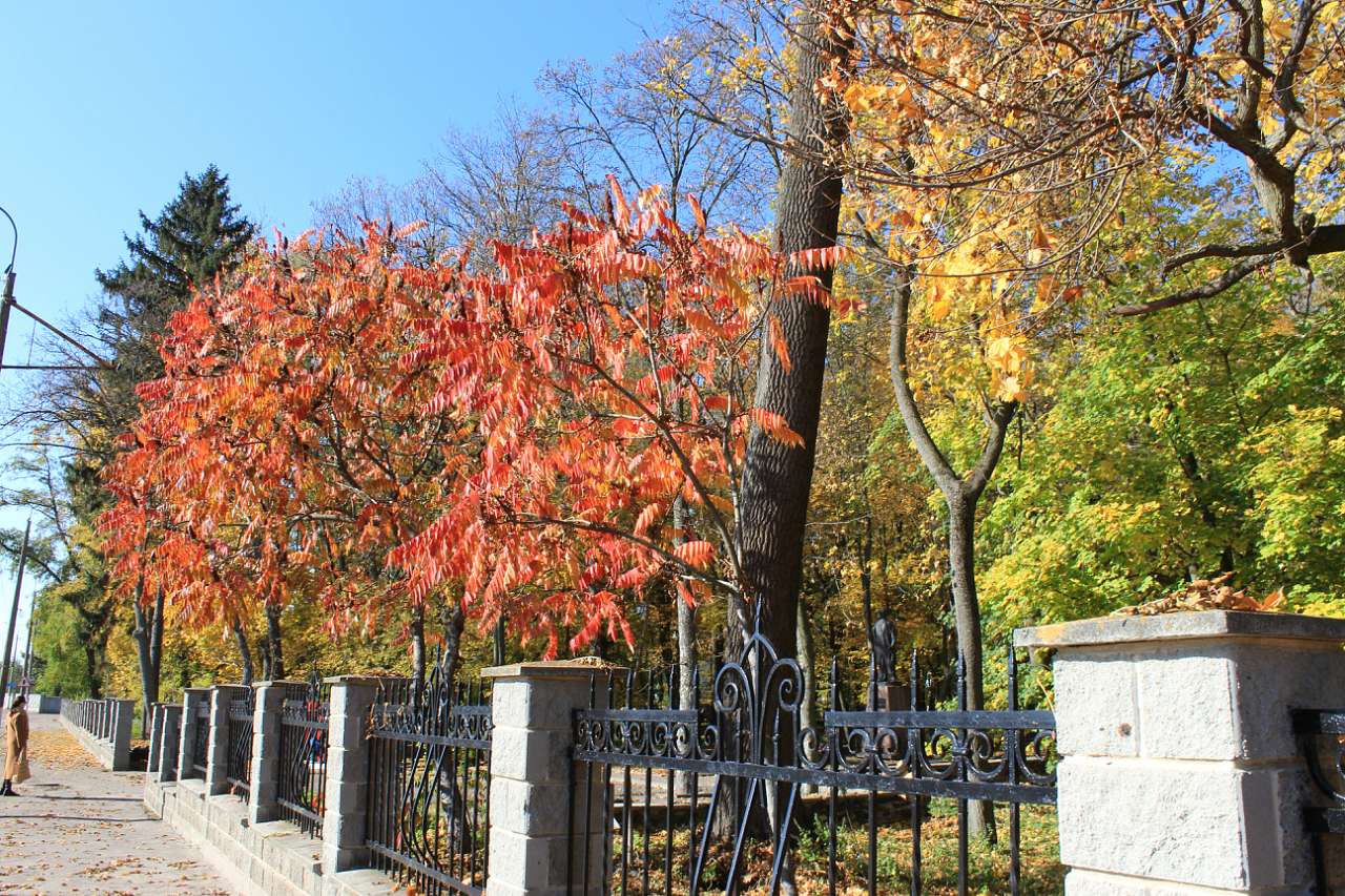 ГОЩА. ОСІННІЙ ПАРК 2017 - Гоща