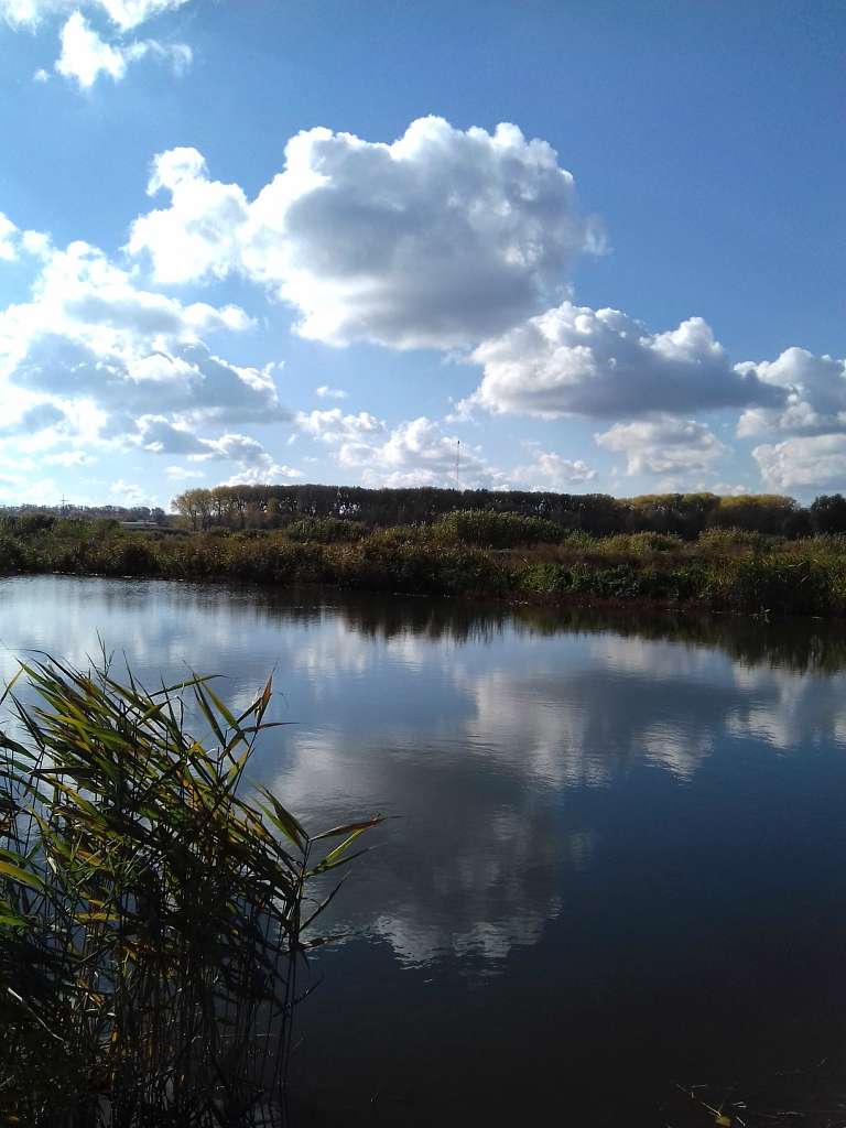 Останній подарунок осені - Конотоп