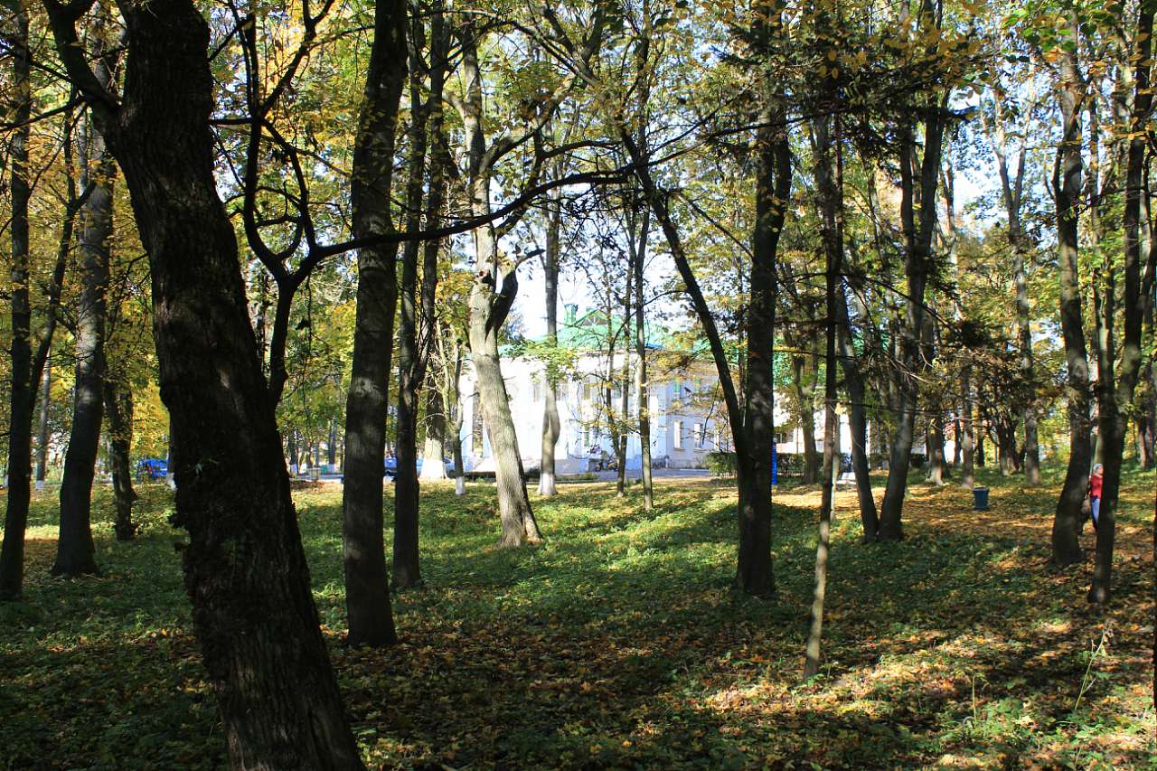 ГОЩА. ОСІННІЙ ПАРК 2017 - Гоща