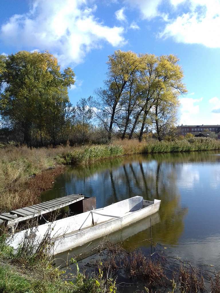 Останній подарунок осені - Конотоп