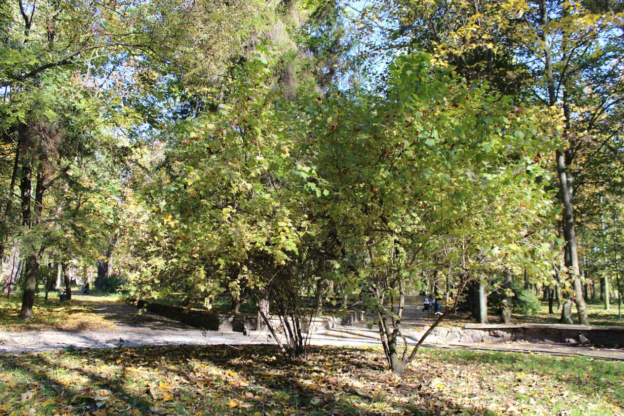 ГОЩА. ОСІННІЙ ПАРК 2017 - Гоща