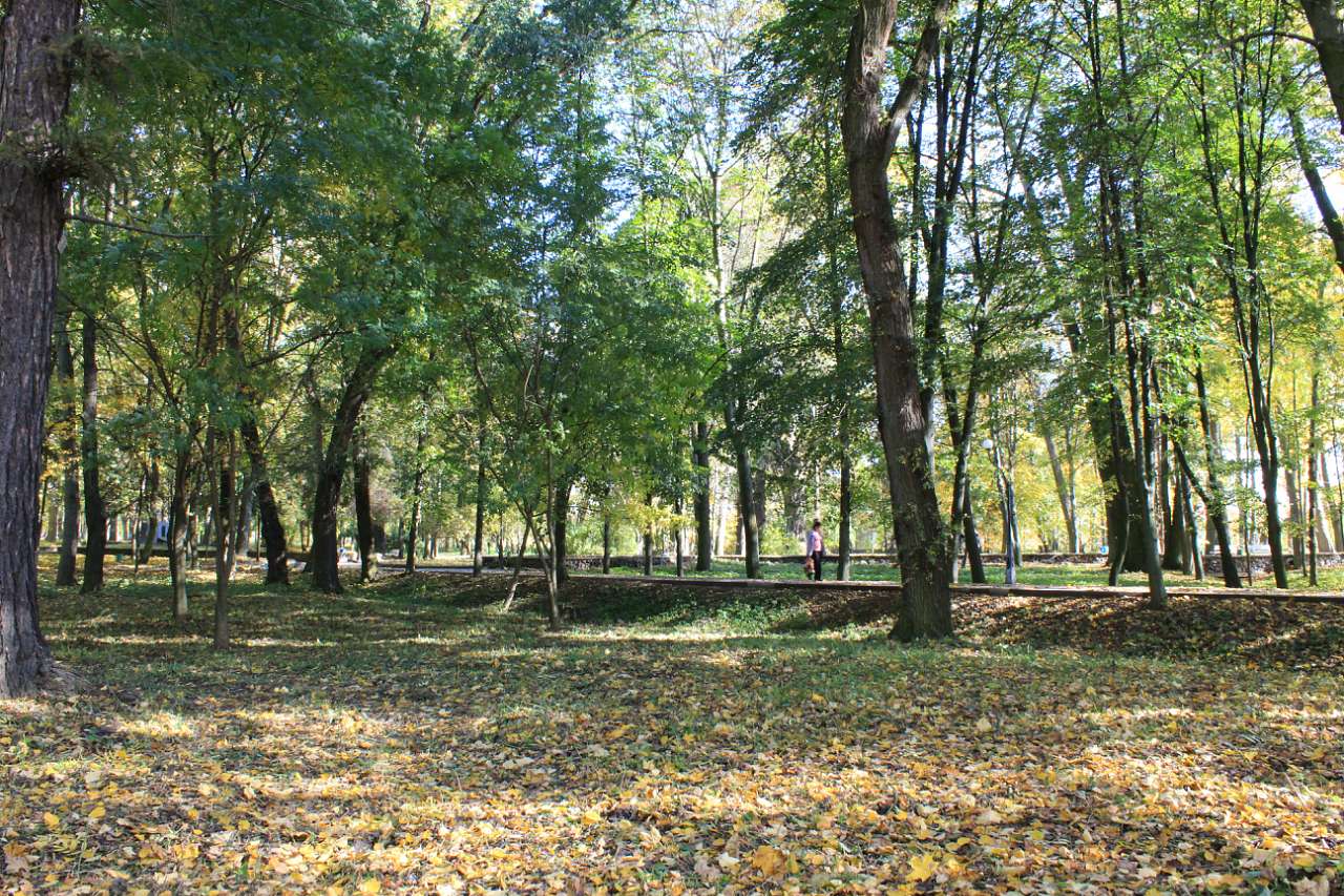 ГОЩА. ОСІННІЙ ПАРК 2017 - Гоща