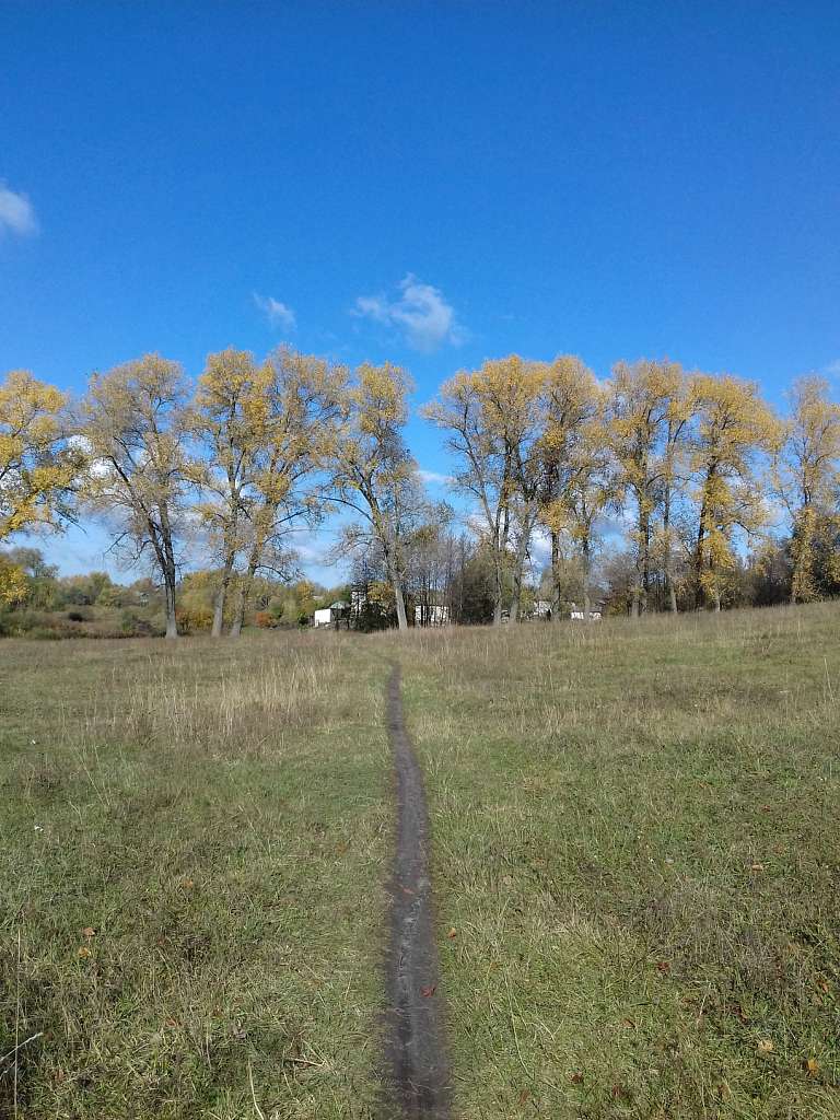 Останній подарунок осені - Конотоп