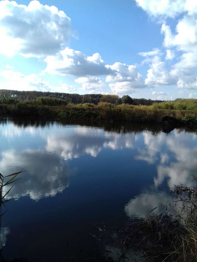 Останній подарунок осені - Конотоп