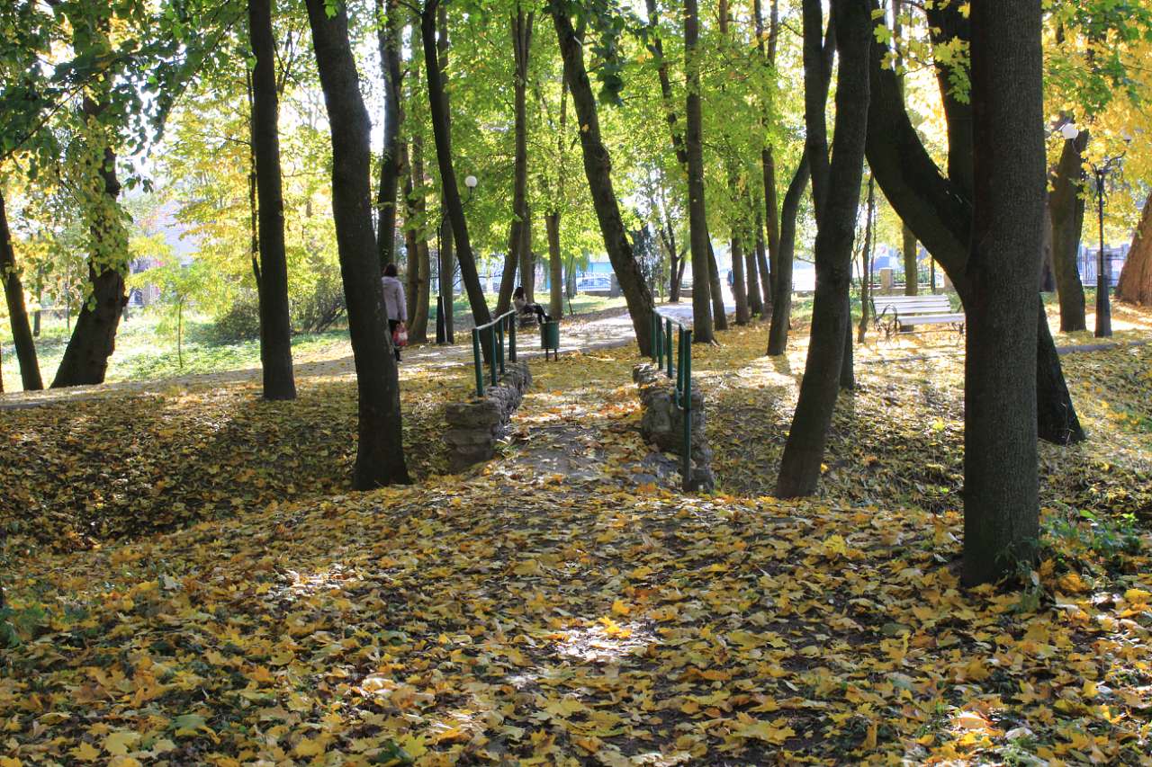 ГОЩА. ОСІННІЙ ПАРК 2017 - Гоща