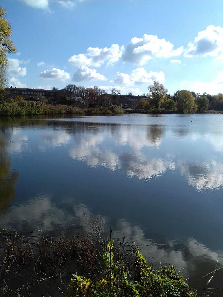 Останній подарунок осені - Конотоп