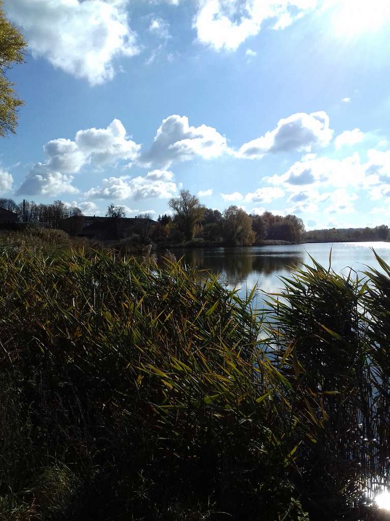 Останній подарунок осені - Конотоп