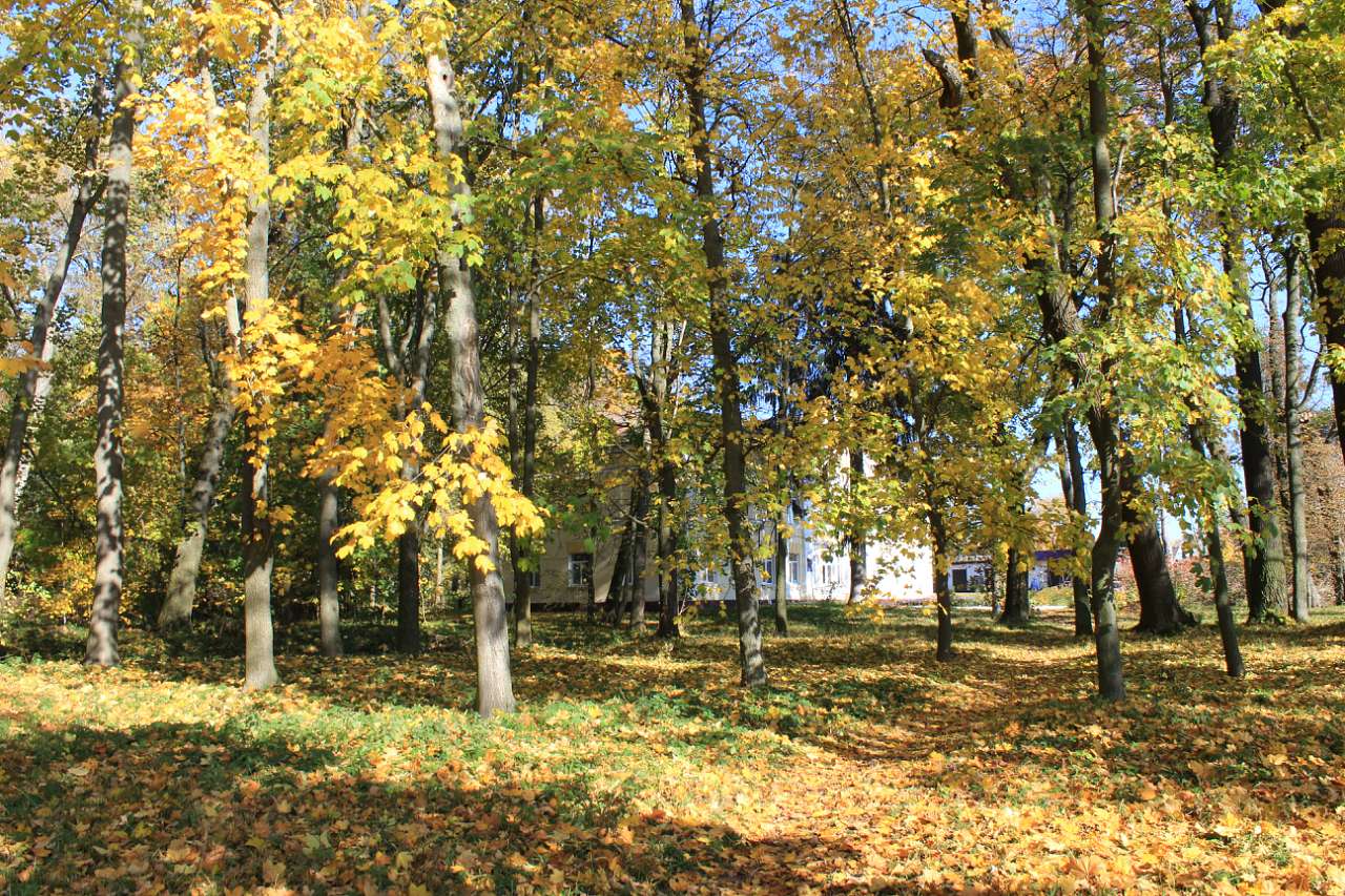 ГОЩА. ОСІННІЙ ПАРК 2017 - Гоща