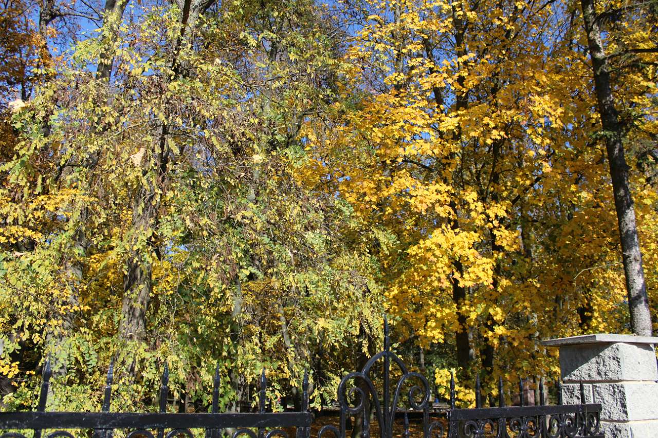 ГОЩА. ОСІННІЙ ПАРК 2017 - Гоща